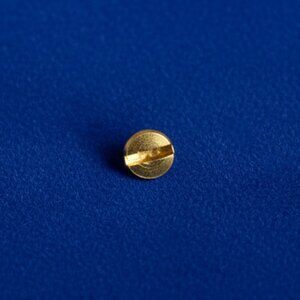 Replacement Screw for Charles Revson The Love Bracelet + Other Brands